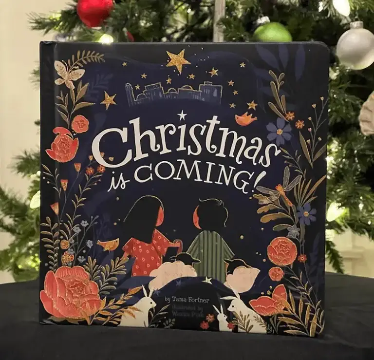 Christmas is Coming Book